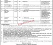 Jobs In Government Of Pakistan Ministry Of Human Rights