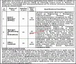 Jobs In Government Of Pakistan Ministry Of Information Technology &