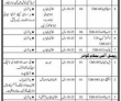 Jobs in Government of Pakistan Ministry of Maritime Affairs