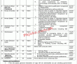 Jobs in Government of Pakistan Ministry of National Health Services