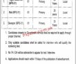 Jobs In Government Of Pakistan National Heritage And Culture Division