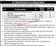 Jobs In Government Of Pakistan National Information Technology Board
