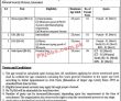 Jobs in Government of Pakistan National Security Division