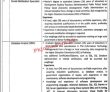 Jobs in Government of Punjab School Education Department