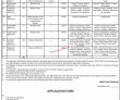 Jobs in Government of Sindh Directorate General of Fisheries