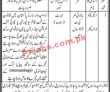 Jobs in Government of Sindh Health Department