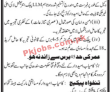 Jobs in Government of Sindh Interior Department
