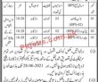 Jobs in Government of Sindh Irrigation Department Larkana