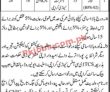 Jobs In Government Of Sindh Revenue Department