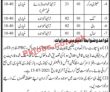 Jobs In Government Of Sindh Schools Education & Literacy Department