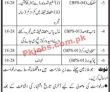 Jobs In Government Of Sindh Transport & Mass Transit Department
