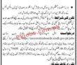 Jobs In Government Of Sindh Universities & Board Department