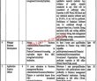 Jobs in Government of the Punjab ADP Project