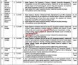 Jobs in Government of the Punjab Communication and Works Department