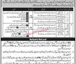 Jobs In Government Of The Punjab Jail Khana Jaat Department