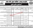 Jobs in Government of the Punjab Jobs via NTS