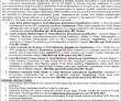 Jobs in Government of the Punjab Local Government & Community