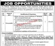 Jobs In Government Of The Punjab Population Welfare Department