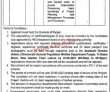 Jobs In Government Of The Punjab Population Welfare Department