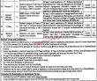 Jobs in Government of the Punjab Primary & Secondary Healthcare