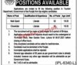 Jobs In Government Of The Punjab Tourism Department