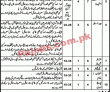 Jobs In Government Of The Punjab