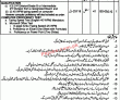 Jobs in Government of the Punjab