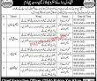 Jobs in Government of the Punjab