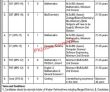 Jobs In Governor’s Model School Sadda