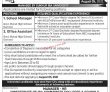 Jobs In Govt Murad High School Gambat