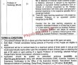 Jobs In Govt Of The Punjab Specialized Healthcare And Medical