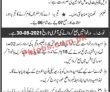 Jobs In Gulberg Islamabad Care Center