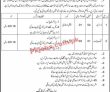 Jobs In Hq Special Operations School
