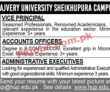 Jobs In Hajvery University Sheikhupura