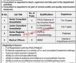 Jobs In Hameed Latif Hospital