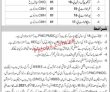 Jobs In Health Department Aj&k