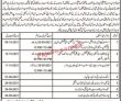 Jobs In Health Department Government Of Balochistan