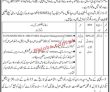 Jobs in Health Department Sindh