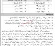Jobs In Health Department