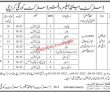 Jobs In Health Sector Karachi