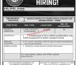 Jobs In Helping Hands