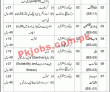 Jobs In High Court Aj&k