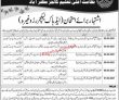 Jobs in Higher Education Colleges Department