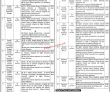 Jobs in Home Department Government of the Punjab