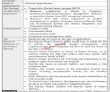 Jobs In Home & Tribal Affairs Department Government Of Balochistan