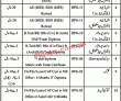 Jobs In Housing Directorate Pdh South Karachi