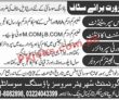 Jobs In Housing Society