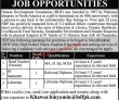 Jobs In Human Development Foundation Hdf