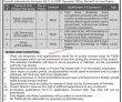 Jobs In Hydrocarbon Development Institute Of Pakistan