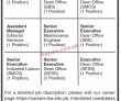 Jobs In Iba Karachi